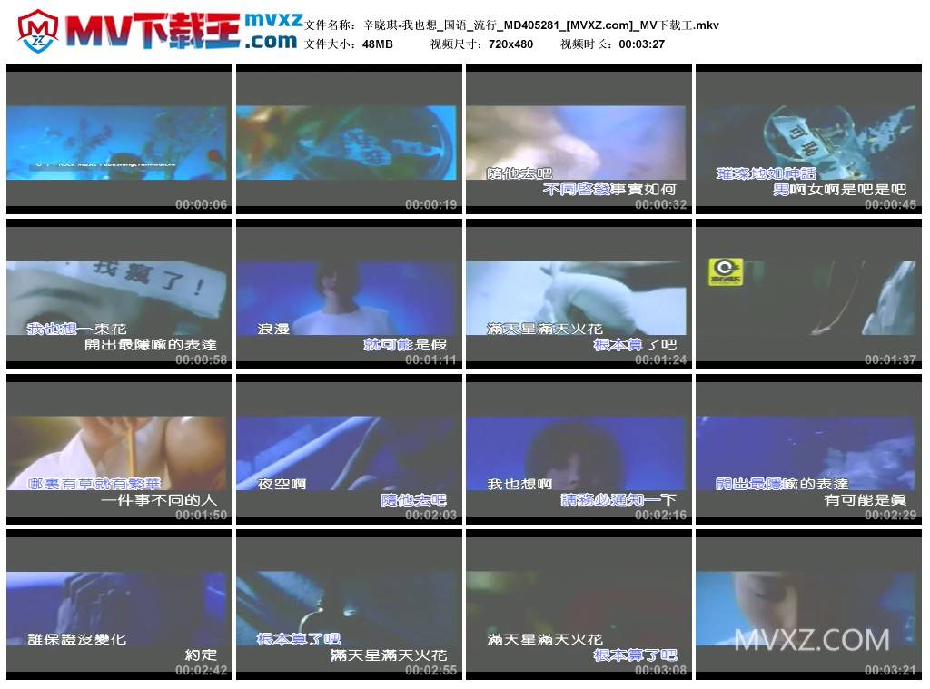 辛晓琪-我也想_国语_流行_MD405281